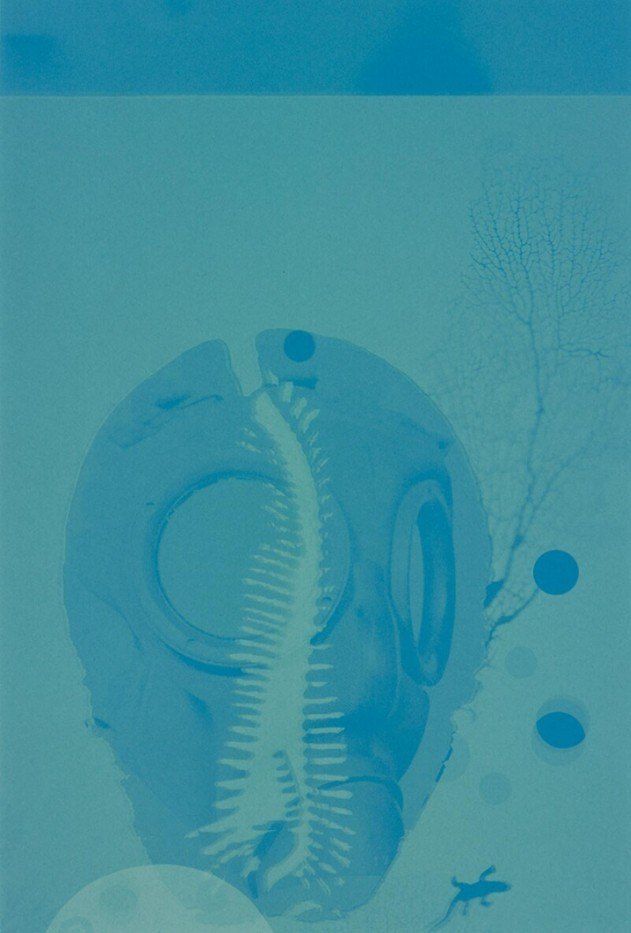 Nomadisch Werkstuk prt E, 1993 - a pale blue field with the bleached outline of a skull-like form and a fine branching line.