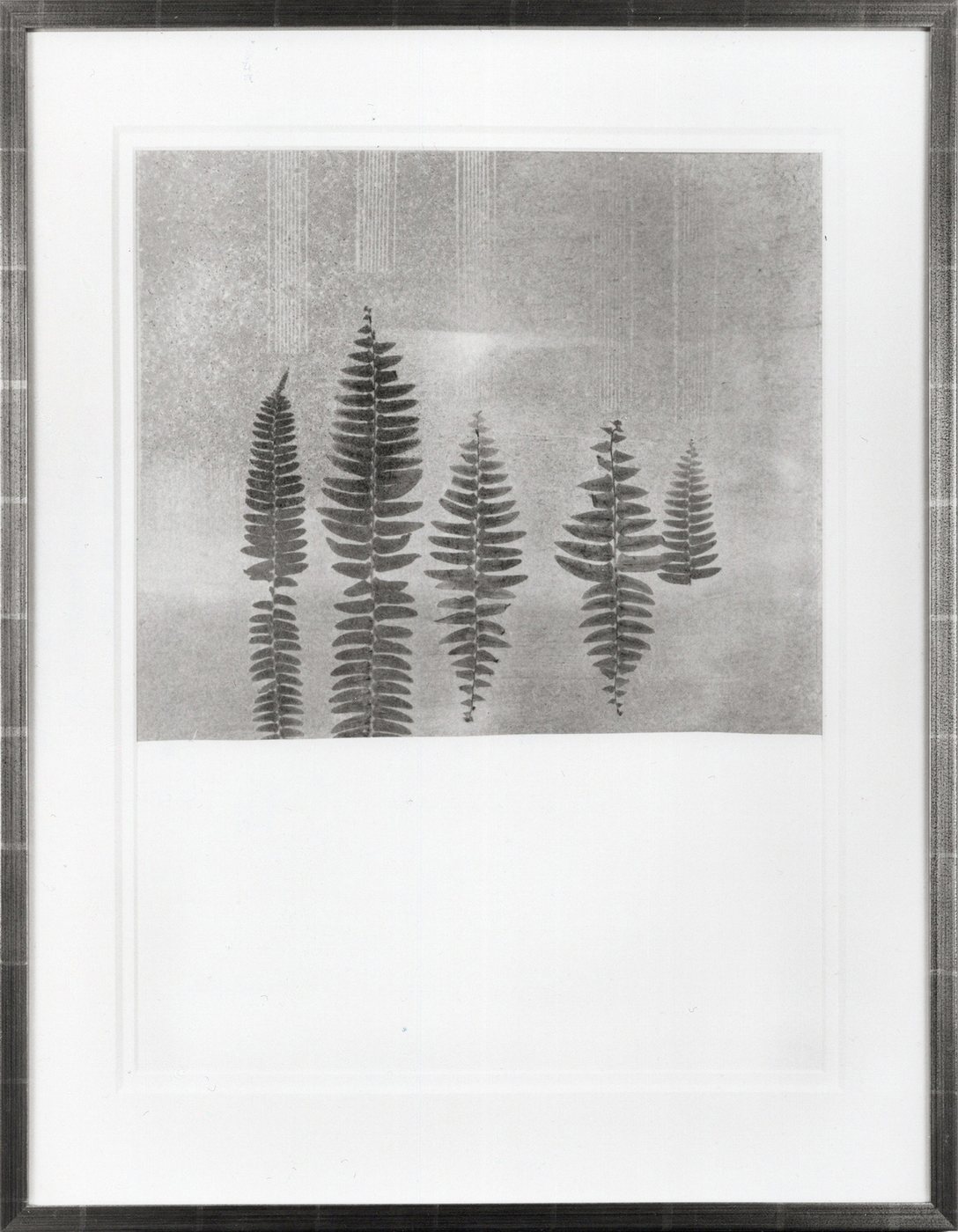 Caspar David, 1995 - a stand of small fern silhouettes on a pale horizon in the upper half of the sheet, the lower half left empty.