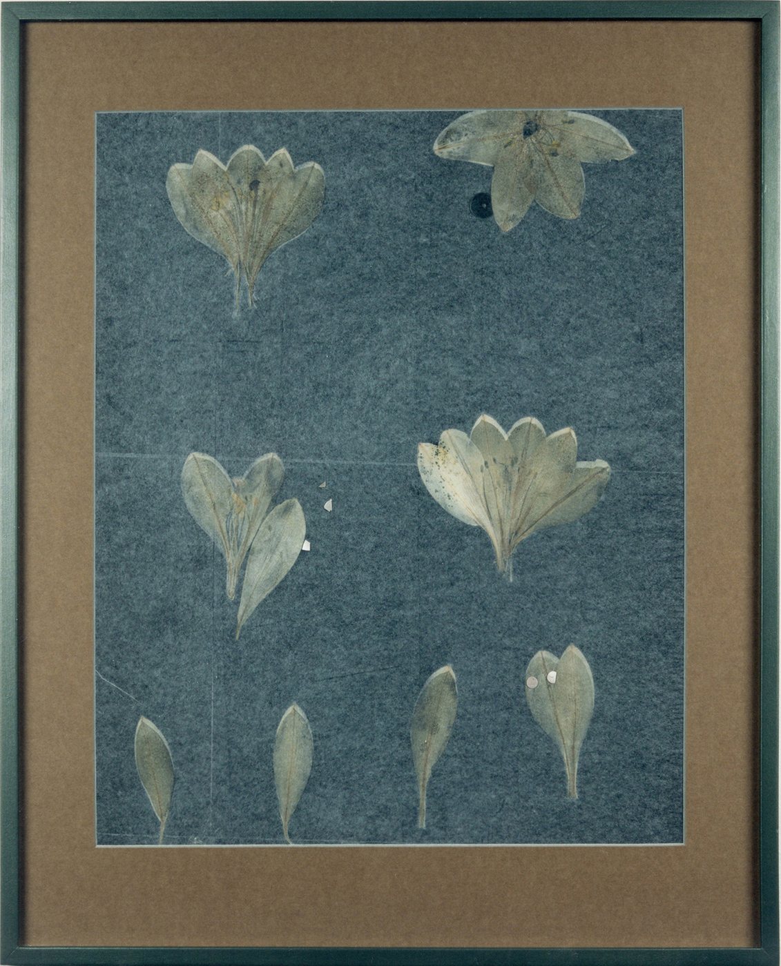Mother of Pearl, 1995 - pale ghostly blossoms and loose petals scattered across a deep teal-blue ground.
