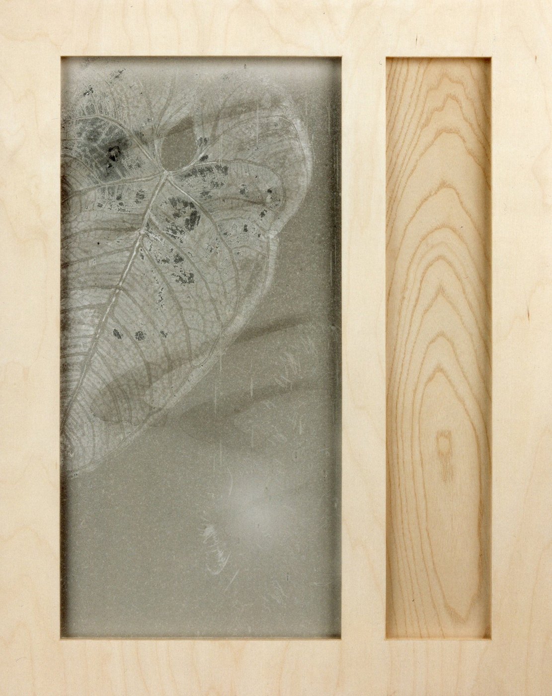 Requiem, 1996 - a leaf skeleton drawn in dust behind a pale glass panel, set beside a bare strip of wood in a light wooden frame.