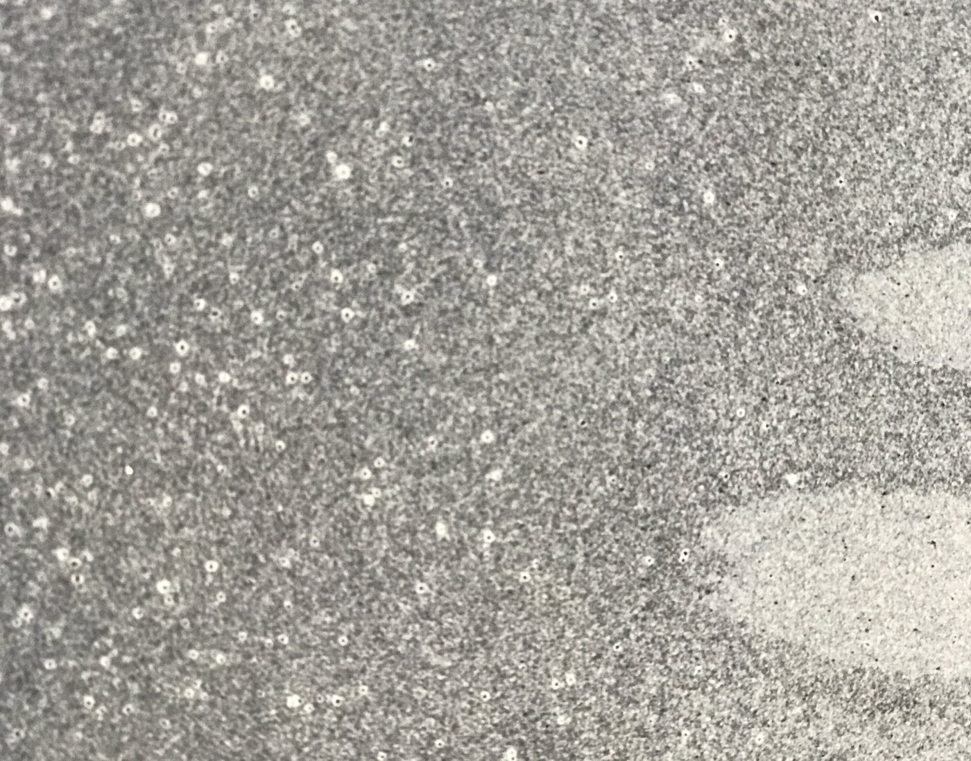 Zwaar Water - detail, 1993 - a dense field of bright white specks scattered across grey, like dust caught in raking light.